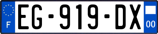 EG-919-DX
