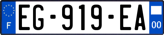 EG-919-EA