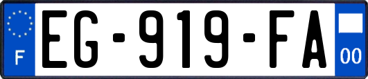 EG-919-FA
