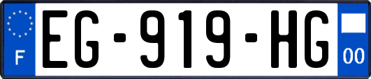 EG-919-HG