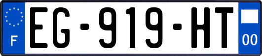 EG-919-HT