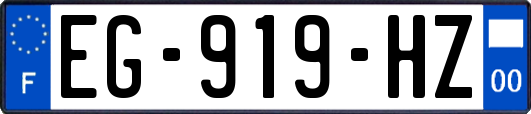EG-919-HZ