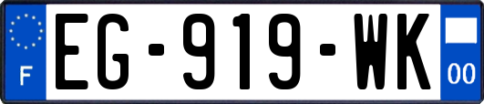 EG-919-WK