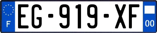 EG-919-XF