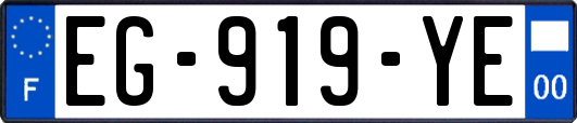 EG-919-YE