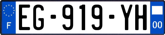 EG-919-YH