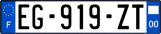 EG-919-ZT