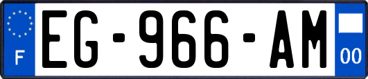 EG-966-AM