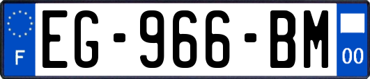 EG-966-BM