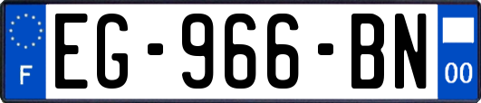 EG-966-BN