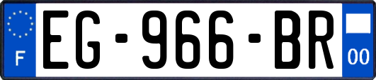 EG-966-BR