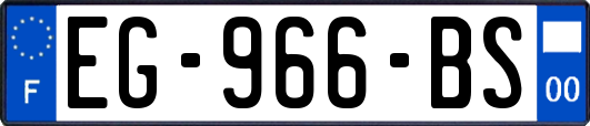 EG-966-BS