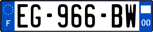 EG-966-BW