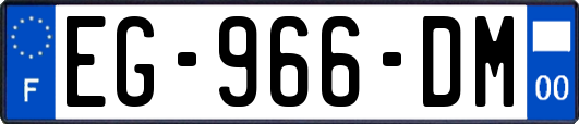EG-966-DM