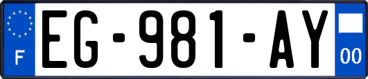 EG-981-AY