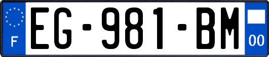 EG-981-BM