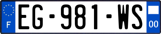 EG-981-WS