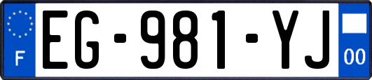 EG-981-YJ
