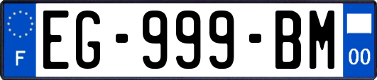 EG-999-BM