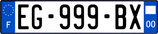 EG-999-BX