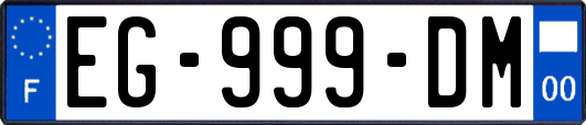 EG-999-DM