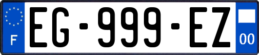 EG-999-EZ