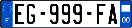 EG-999-FA