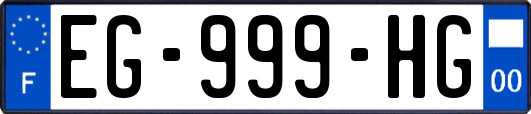 EG-999-HG