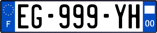 EG-999-YH