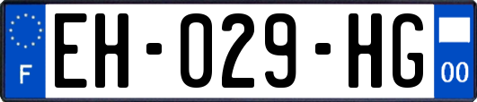 EH-029-HG