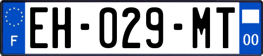 EH-029-MT