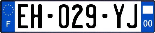 EH-029-YJ