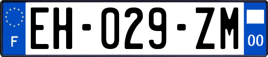 EH-029-ZM