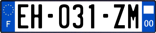 EH-031-ZM