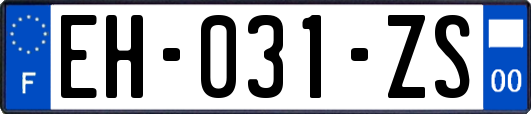 EH-031-ZS