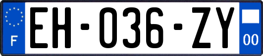 EH-036-ZY