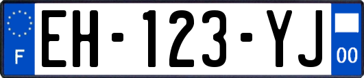 EH-123-YJ