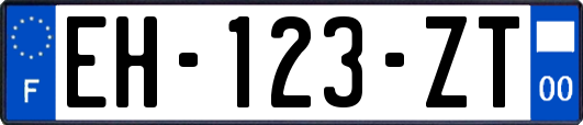 EH-123-ZT
