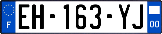 EH-163-YJ