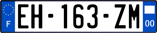 EH-163-ZM