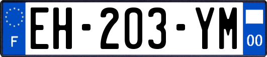 EH-203-YM