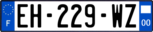 EH-229-WZ