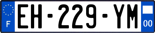 EH-229-YM