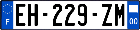 EH-229-ZM