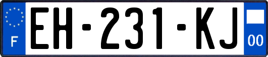 EH-231-KJ
