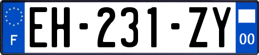 EH-231-ZY
