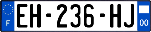 EH-236-HJ
