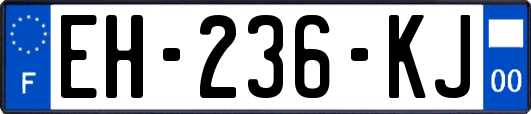 EH-236-KJ
