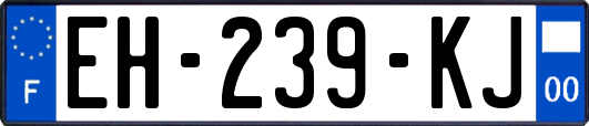 EH-239-KJ