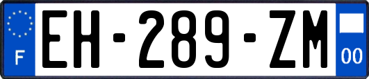 EH-289-ZM